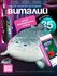 Мягкая игрушка тюлень Виталий 25 см / Нерпа мягкая игрушка