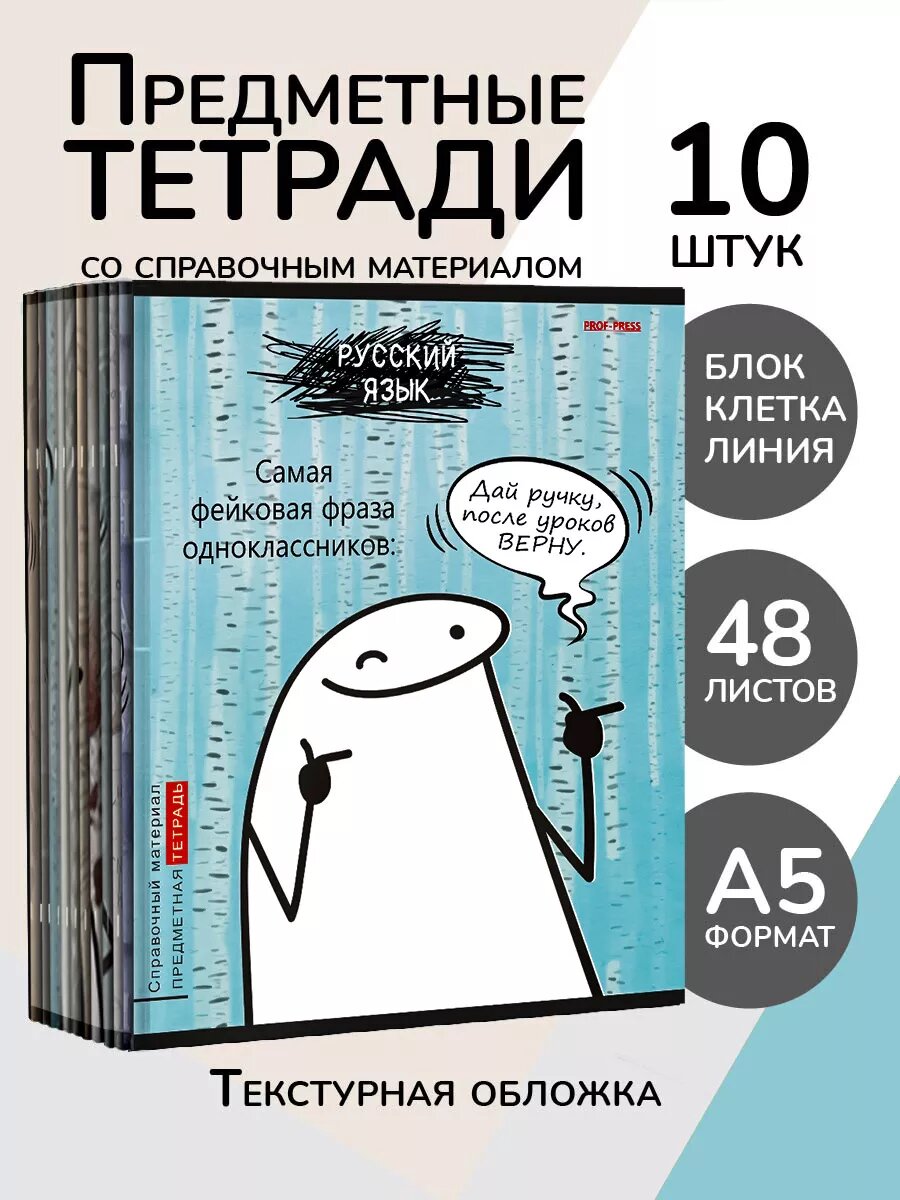 Набор предметных тетрадей Prof-Press "Школьные мемасики", A5, 48 л, 10 шт
