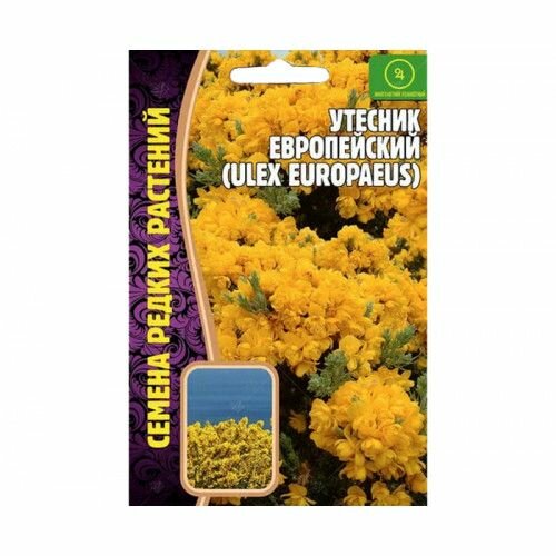 Утесник Европейский 30 шт  Семена редких растений