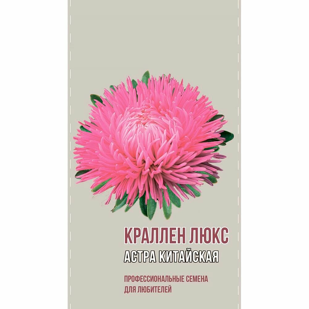 Астра китайская Краллен Люкс 02 г