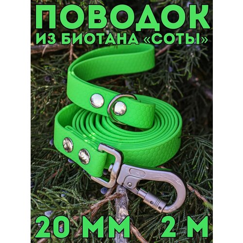 Поводок для собак средних и крупных пород биотановый, 20мм 2м DOG JOYS