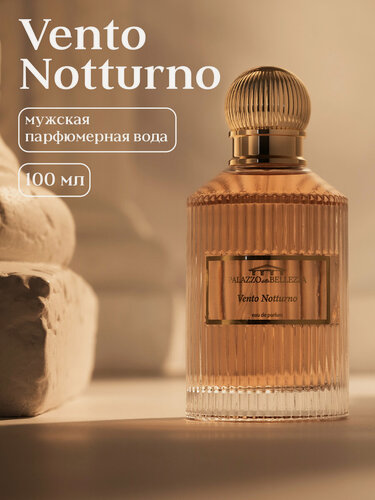 Изображение товара PALAZZO della BELLEZZA Парфюмерная вода мужская Vento Notturno 100 мл