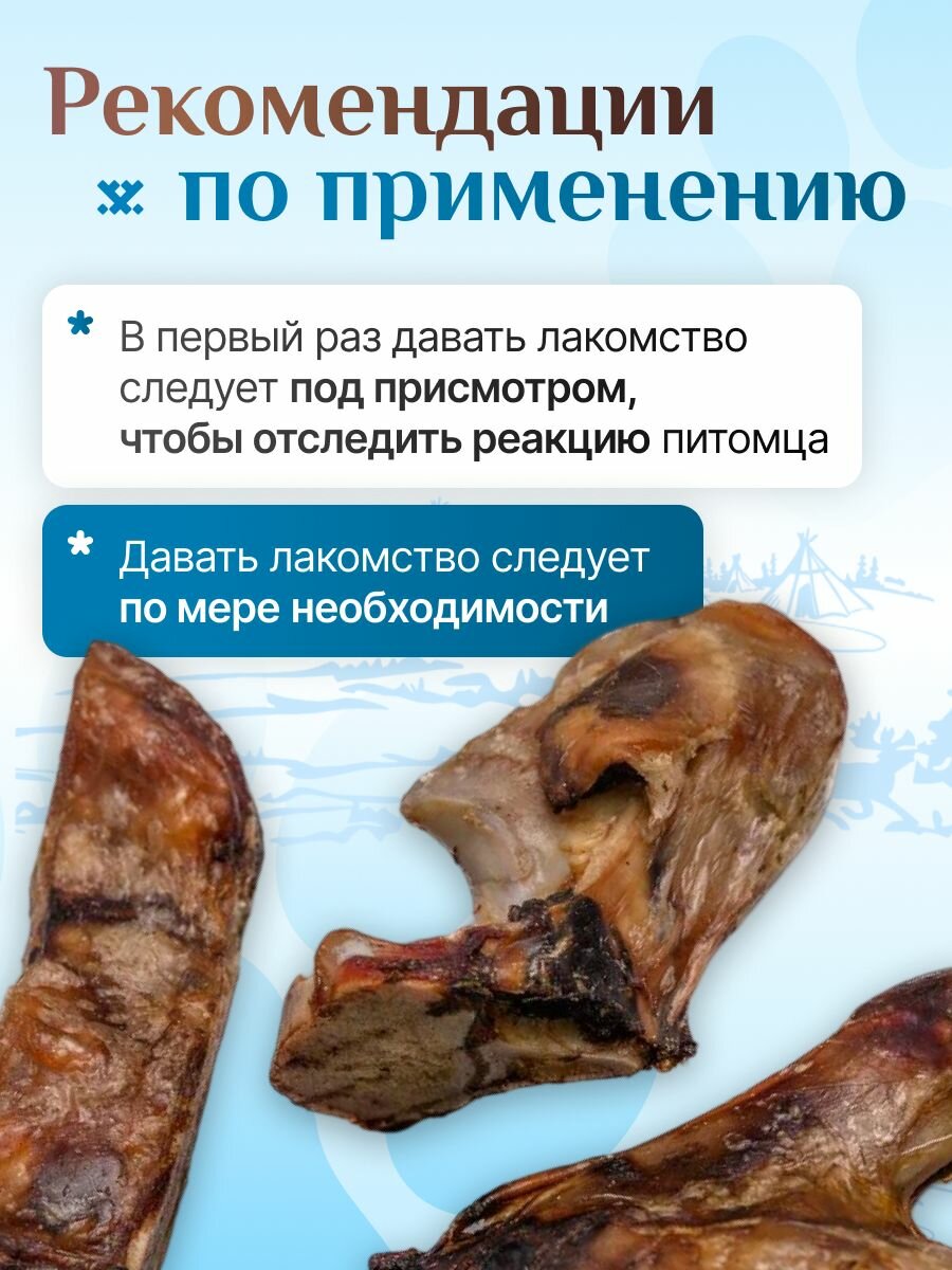 Сустав оленя 300 гр для крупных пород, лакомства для собак, полезные вкусняшки, Паюта — фото 1
