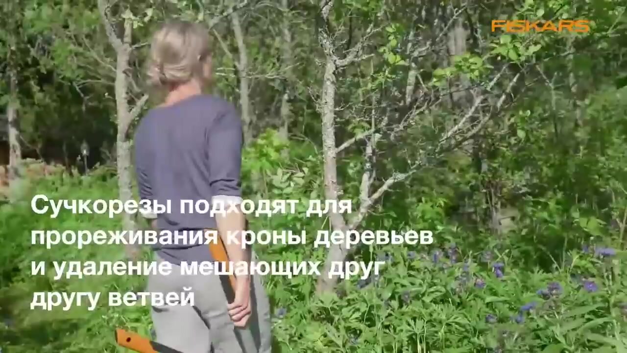 Сучкорез плоскостной большой FISKARS PowerGear X L LX98 (1020188) — фото 1
