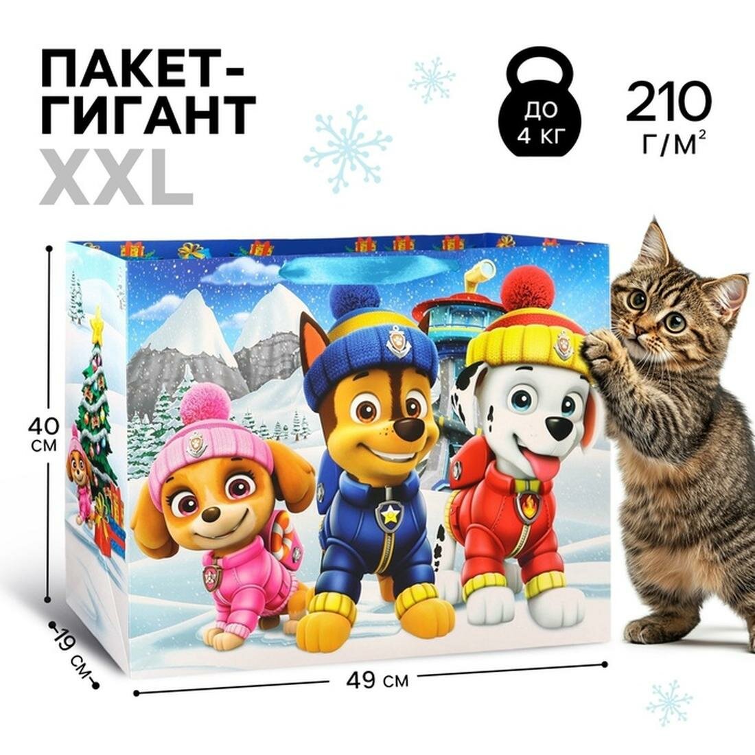 Пакет ламинат горизонтальный 