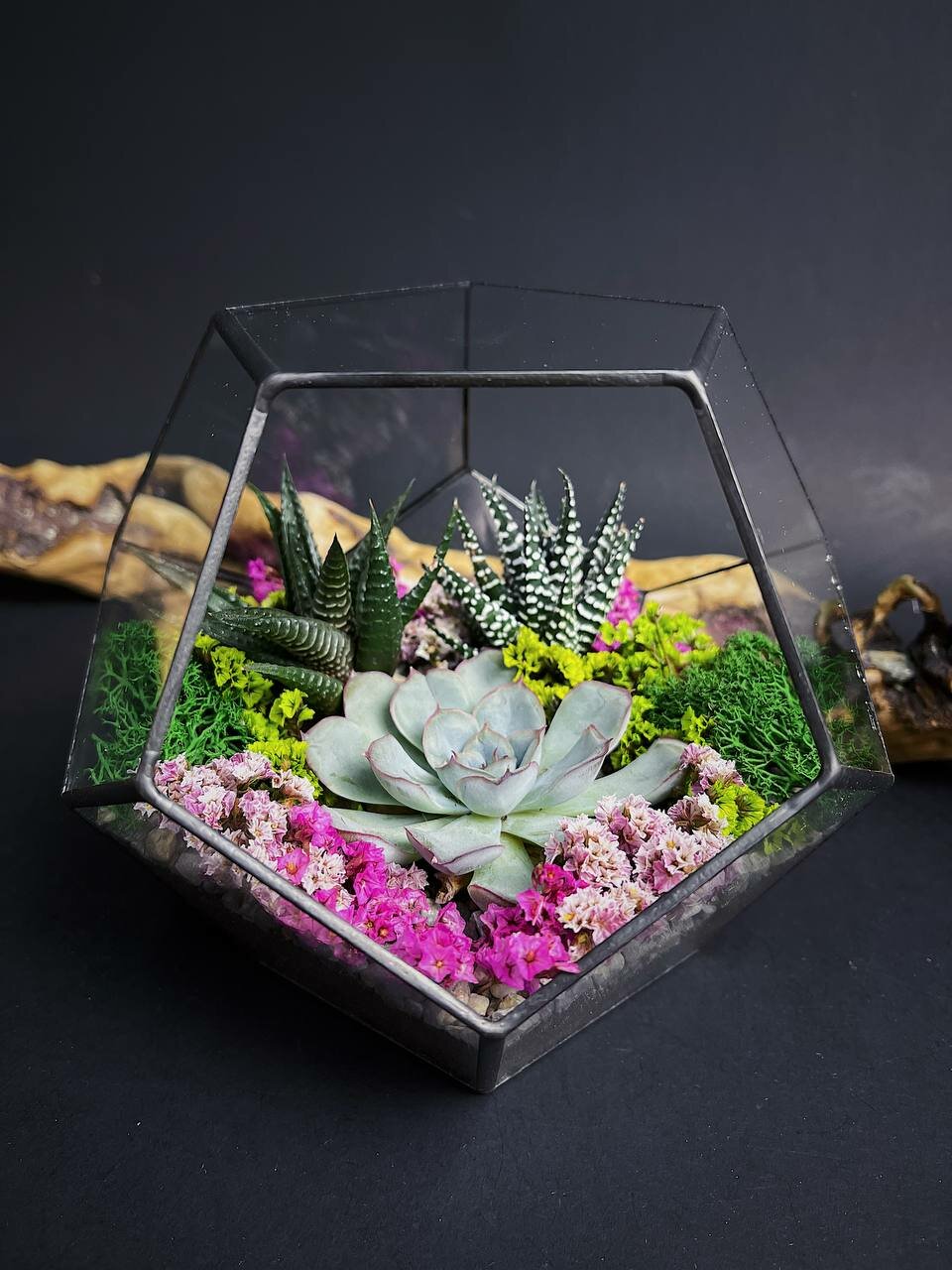 Флорариум-додекаэдр с суккулентами от Flolefor 