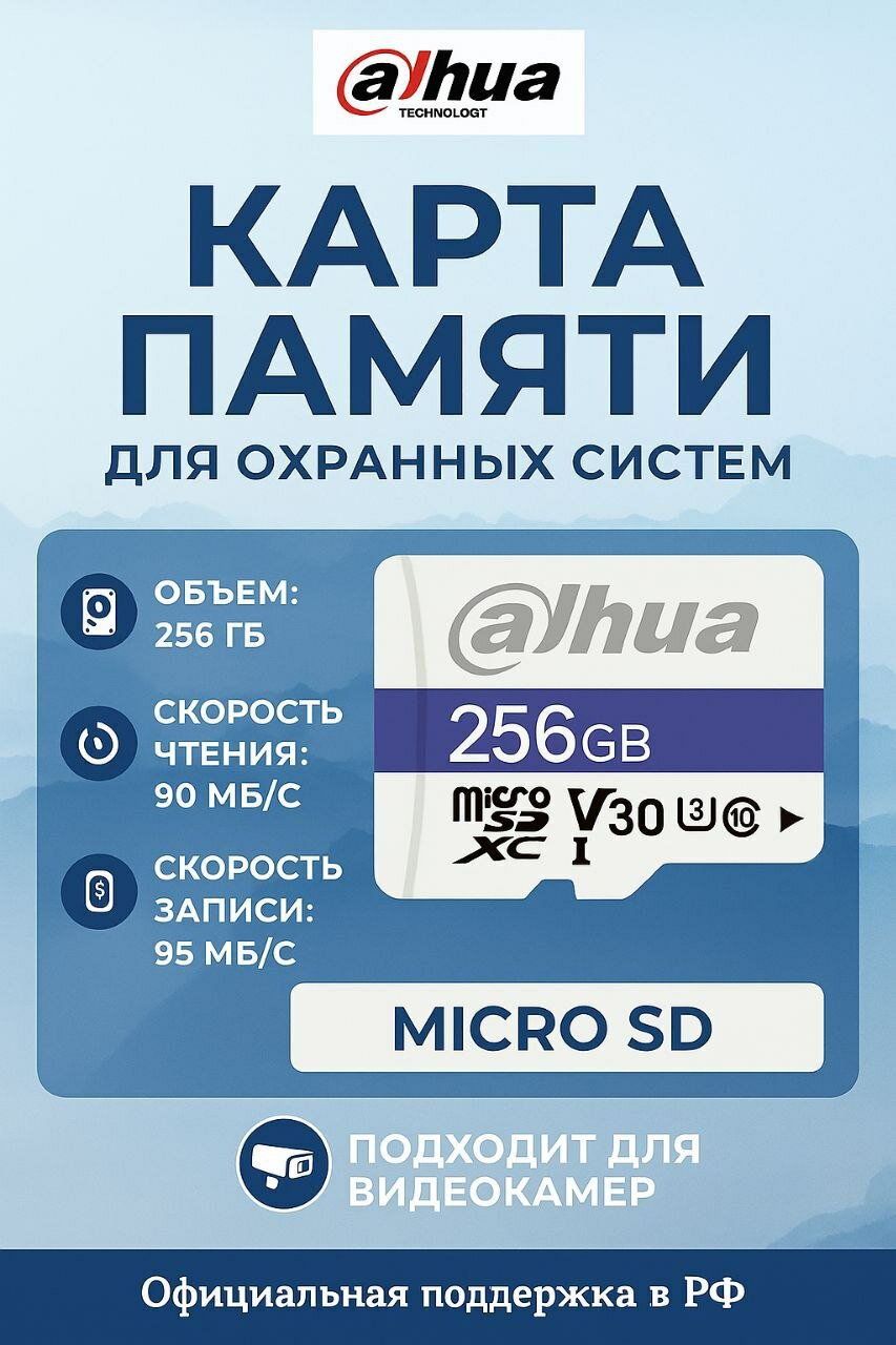 Карта памяти DAHUA Memory DHI-TF-C100/256GB