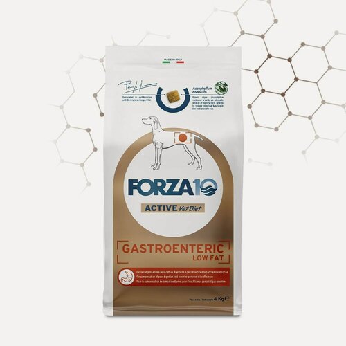 Изображение товара Forza10 Active Gastroenteric Low Fat сухой корм для взрослых собак, при острых проблемах желудочнокишечного тракта 10 кг