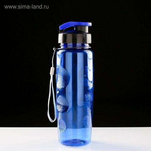 Бутылка для воды спортивная 650 мл 23 х 7 см синяя 10732823 455₽