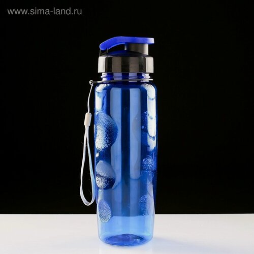 Изображение товара Бутылка для воды спортивная, 650 мл, 23 х 7 см, синяя 10732823