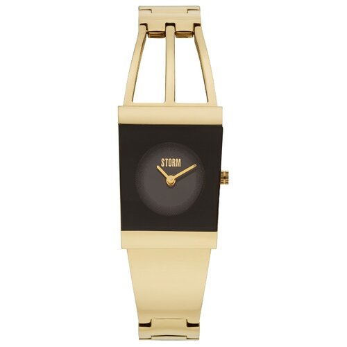 фото Наручные часы storm jelica gold