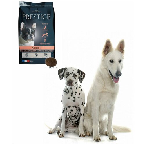 Сухой корм для собак Pro-Nutrition Flatazor беззерновой, гипоаллергенный, лосось 1 уп. х 1 шт. х 12 кг