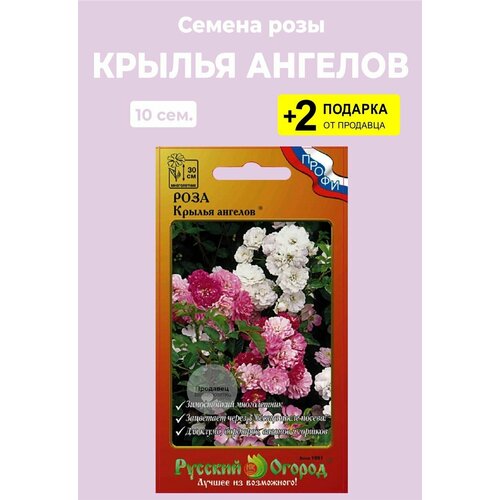 Семена цветов Роза "Крылья ангелов", 10 семян + 2 Подарка