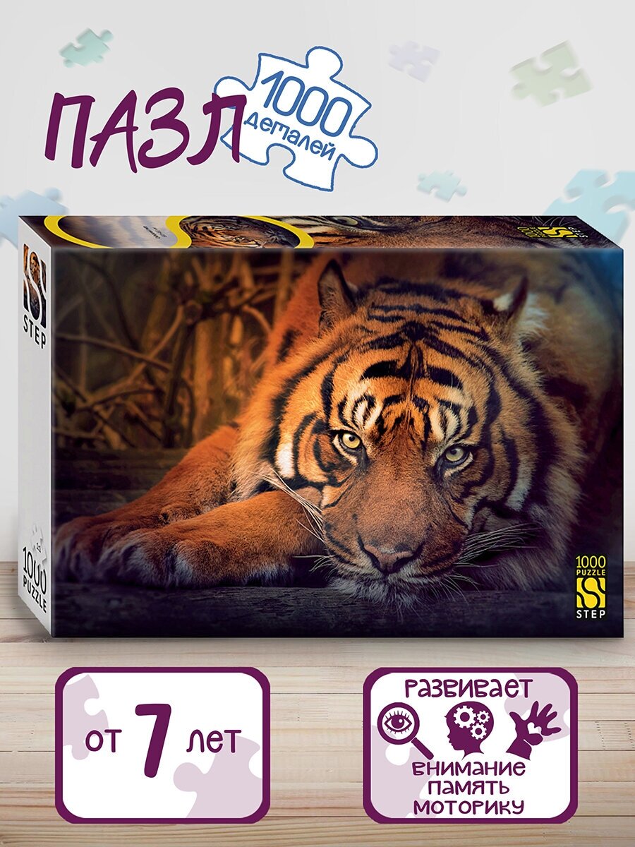 Мозаика "puzzle" 1000 "Сибирский тигр"