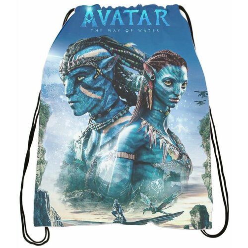 Мешок - сумка для обуви Аватар - Avatar № 7 мешок сумка для обуви аватар avatar 10