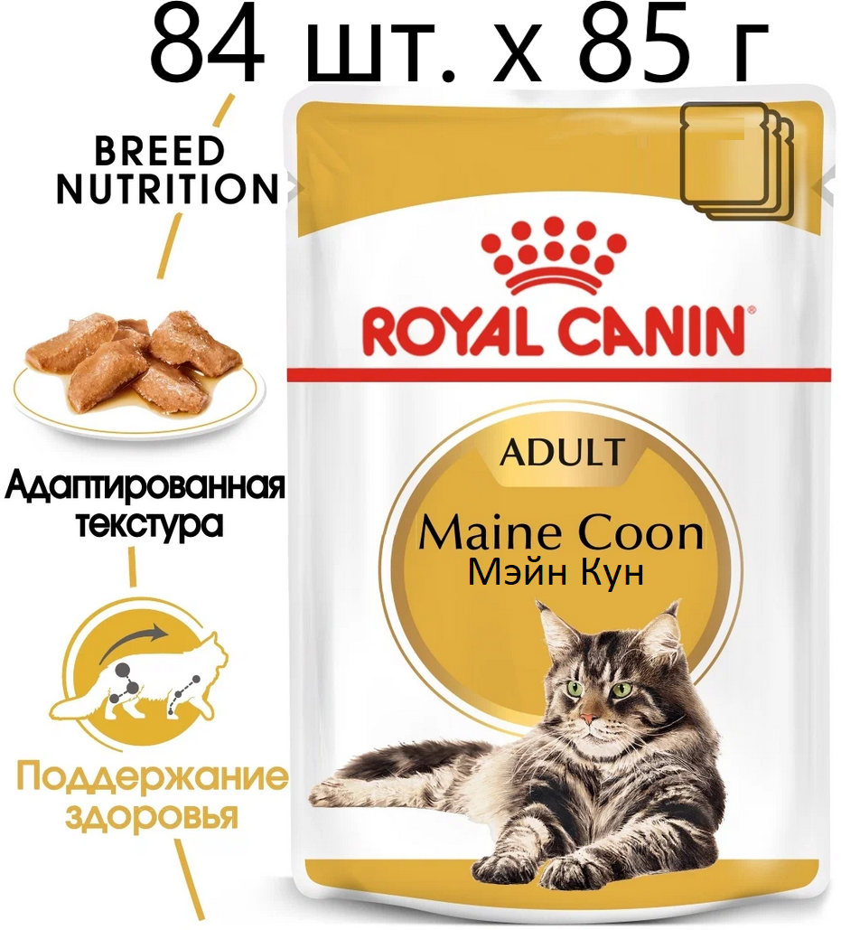 Влажный корм для кошек Royal Canin Maine Coon Adult, для взрослых кошек породы мейн-кун, 84 шт. х 85 г (кусочки в соусе)