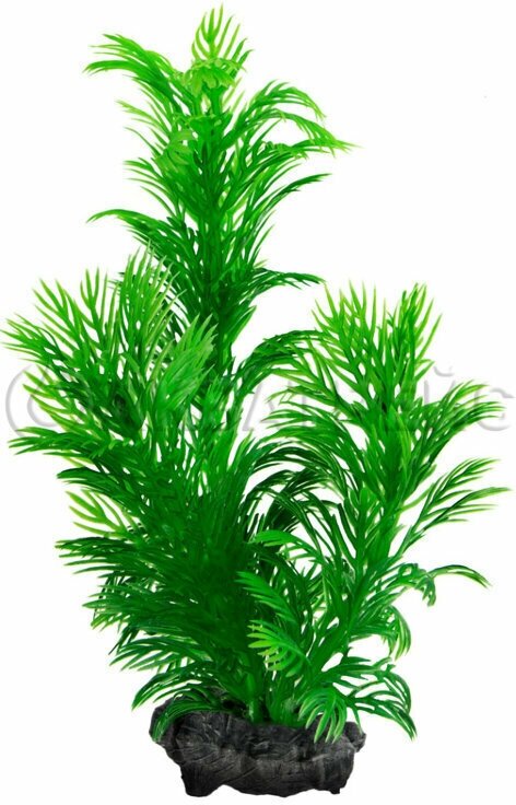 Растение аквариумное с утяжелителем Tetra Green Cabomba 2, 23 см