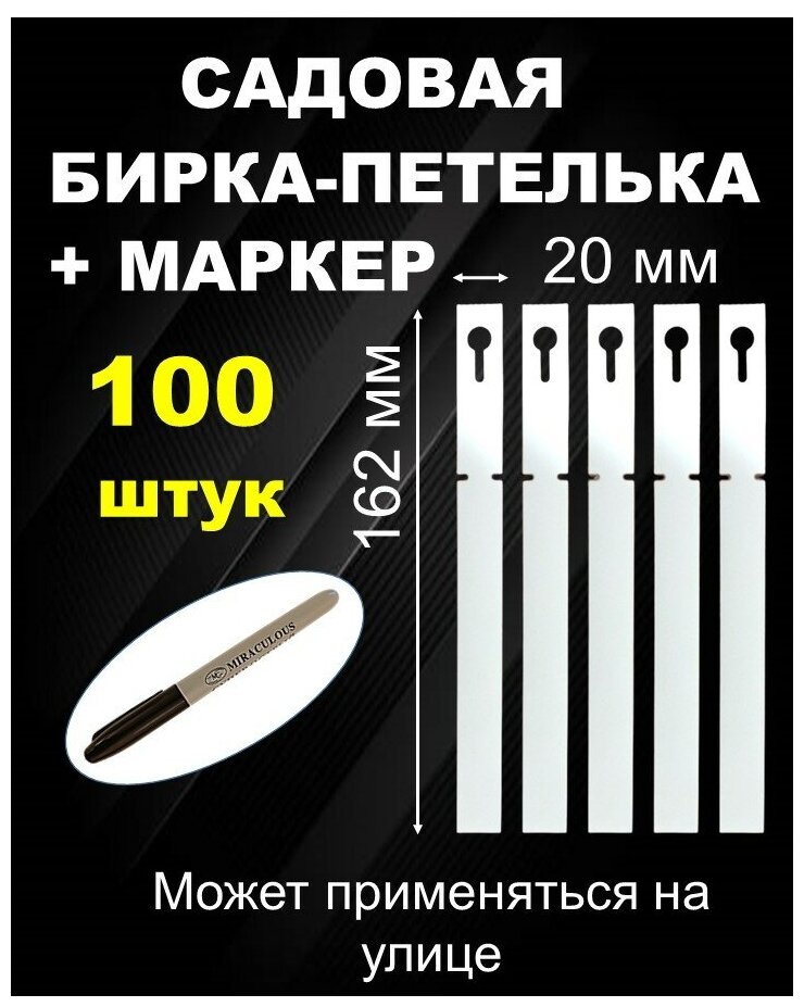 Садовая бирка петелька, белая 20*162 мм 100шт . - фотография № 1