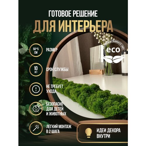 Полоска/лента Дом Мха - MossArt из стабилизированного мха Ягель для озеленения интерьера 50х5 см, Трава
