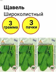 Щавель Широколистный 1г, Агрос - комплект 3 пачки — купить винтернет-магазине по низкой цене на Яндекс Маркете