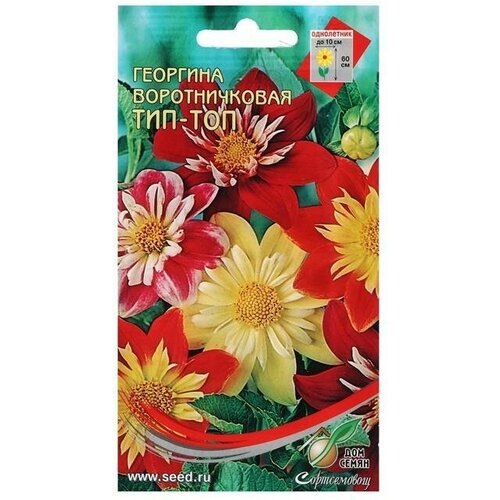 Семена цветов Георгина воротничковая, 15 шт 10 упаковок семена георгина воротничковая денди смесь окрасок