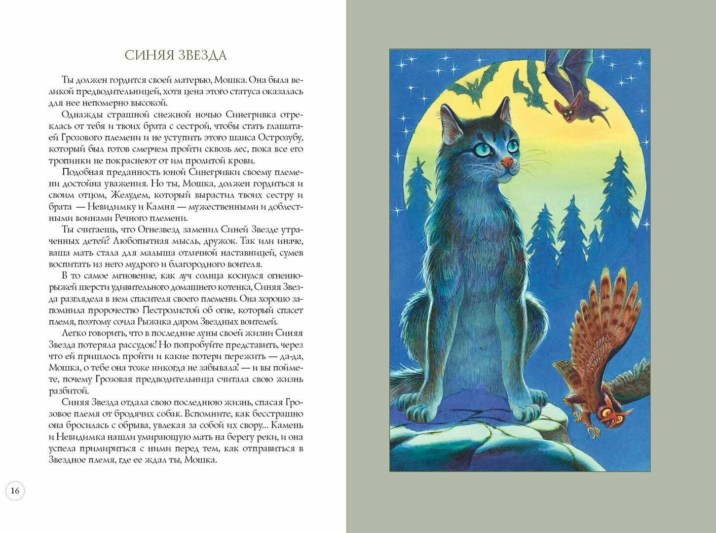 Книга Герои племен Хантер Э. (Хантер Эрин) - фото №9