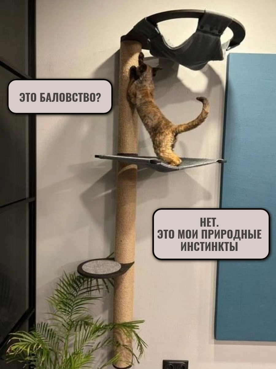 Игровой комплекс для кошек Hunnkatt "Эверест" венге