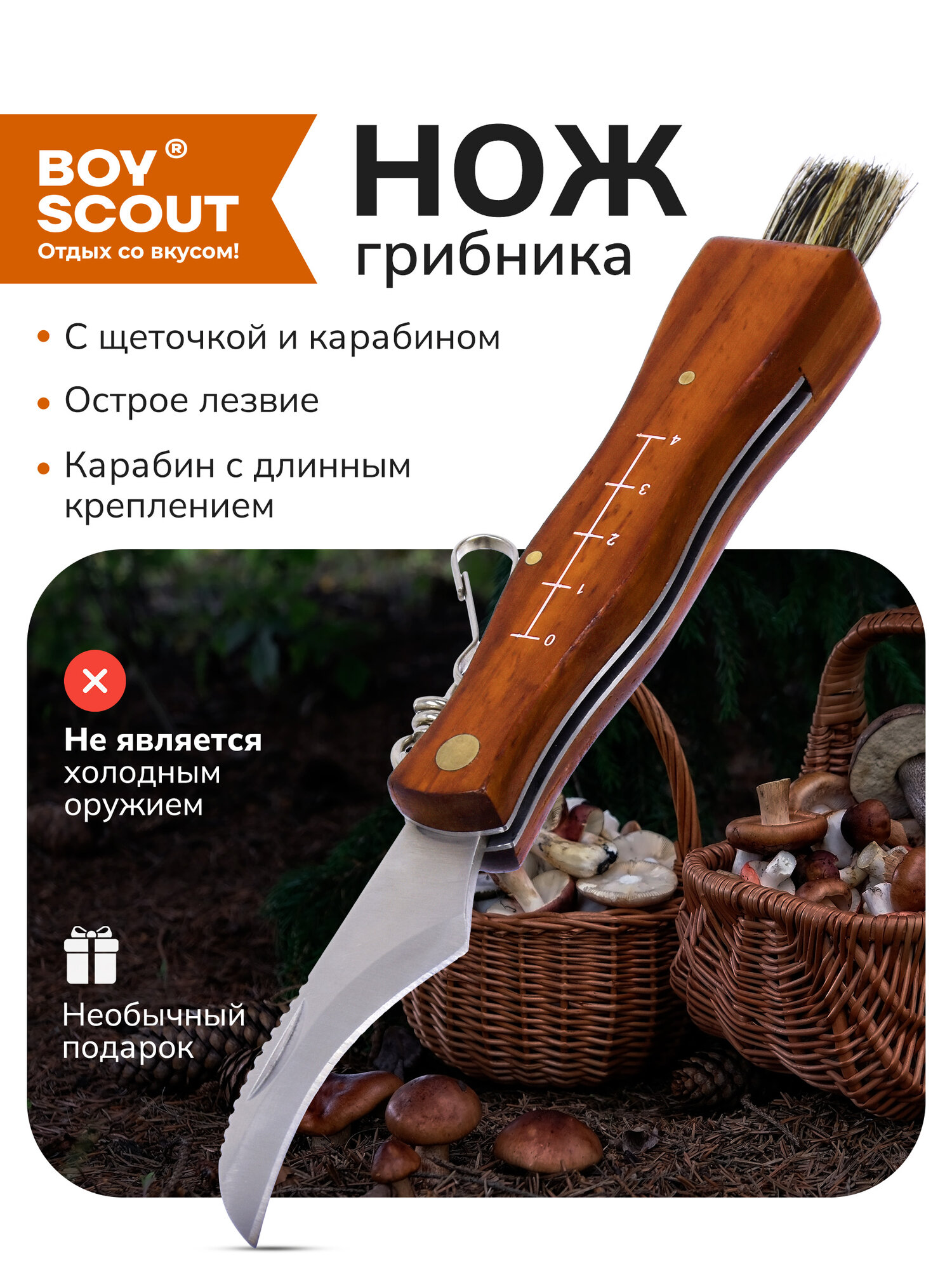 Складной нож BOYSCOUT для грибов вогнутая заточка нержавеющая сталь