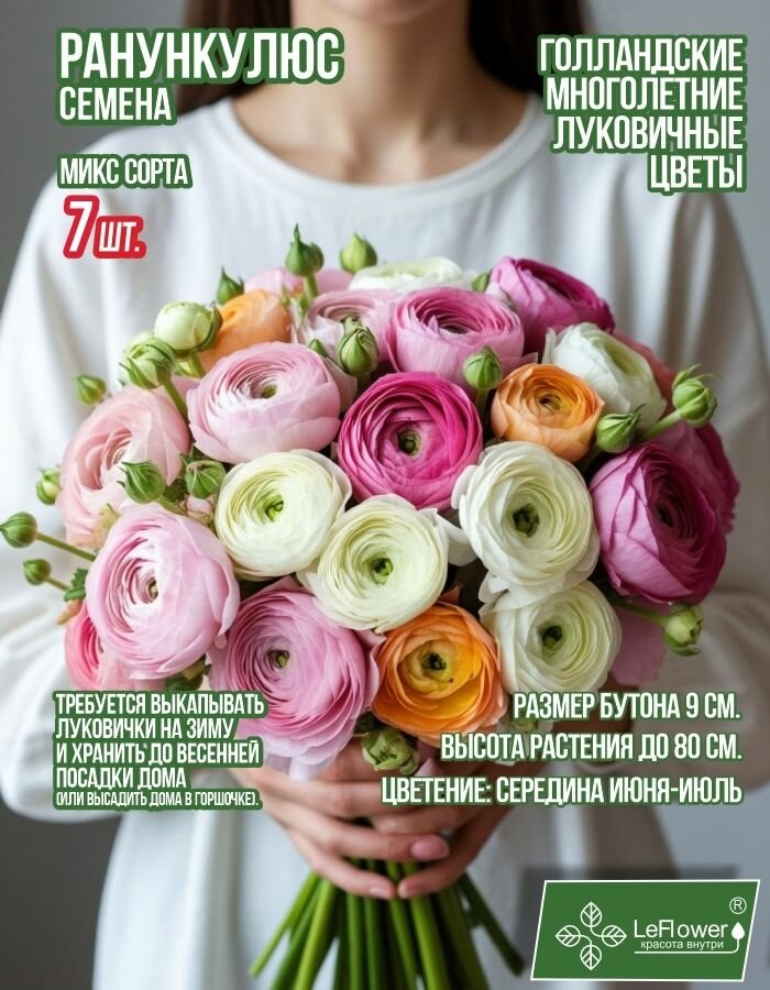 Корневище Ранункулюс микс сортов 7 шт