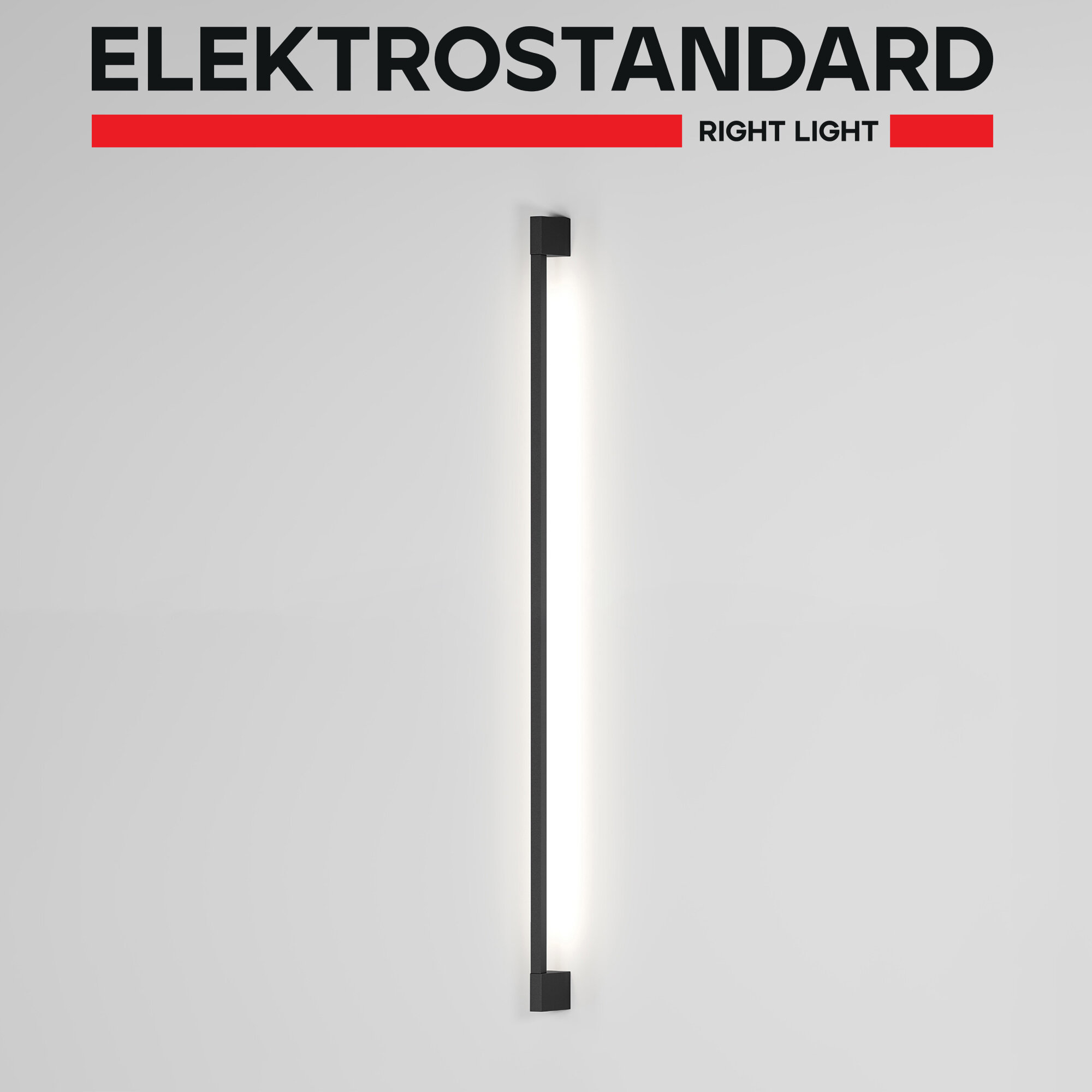 Уличный настенный светодиодный светильник Elektrostandard Argos 35121/D поворотный 12 Вт 4000K 1200 мм черный IP54