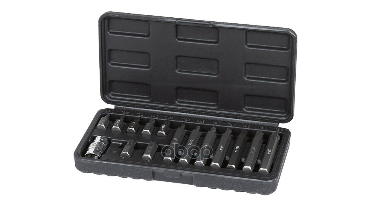 Набор бит 3/8 30мм 75мм: TORX T20 T25 T30 T40 T45 T50 T55 держатель бит 1/2 15шт TIREI арт. sh6y51s