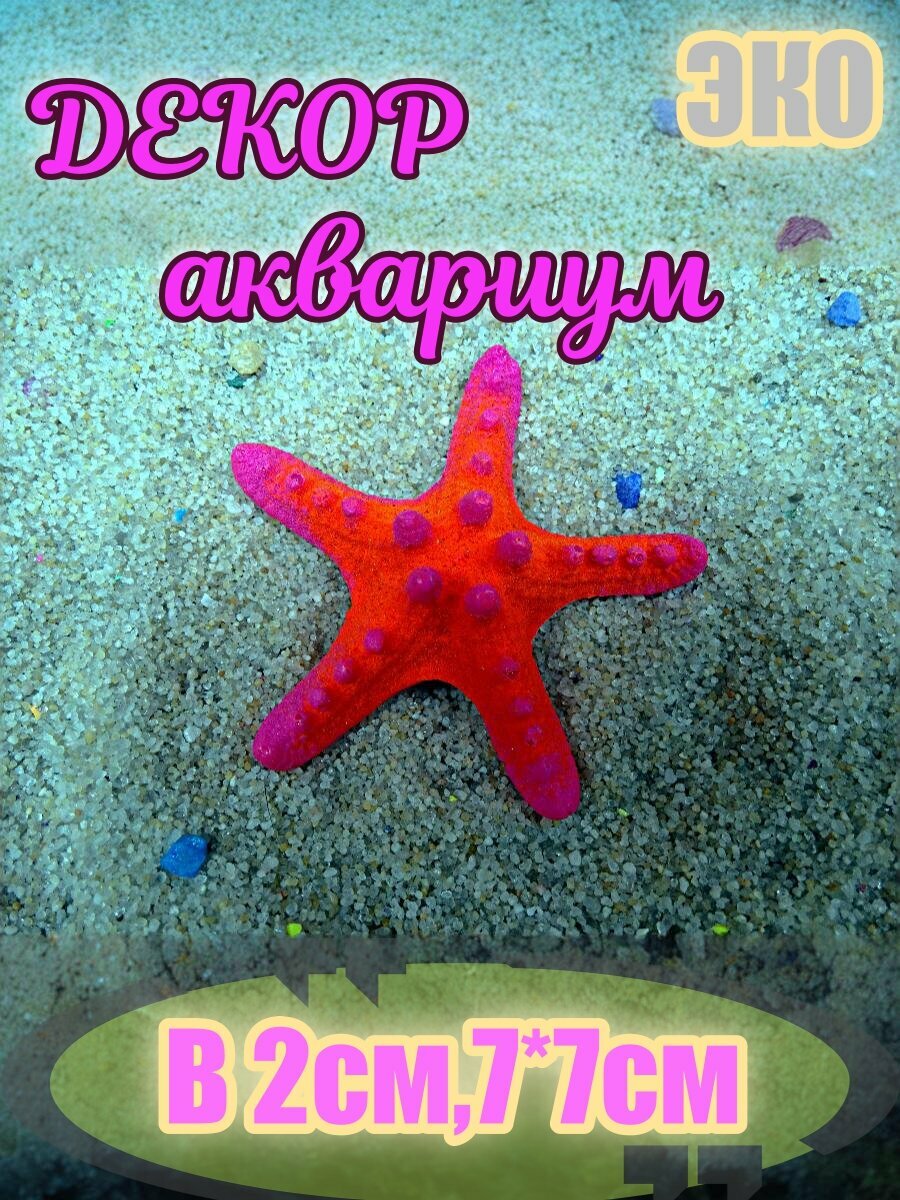Морская звезда КОРАЛЛ ЭКО 