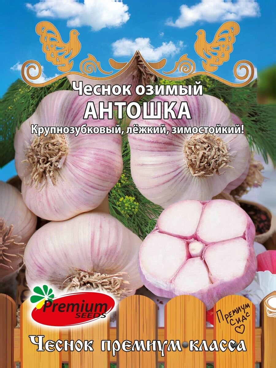 Зубчики чеснока озимый Антошка 10 шт.