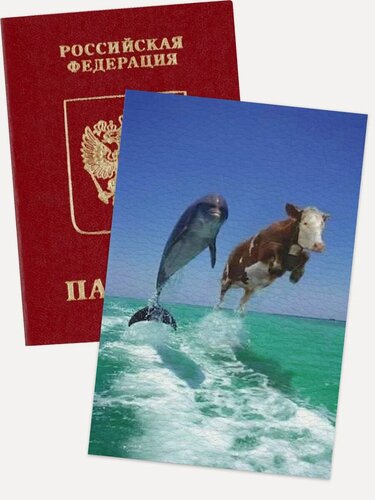 Изображение товара Обложка для паспорта