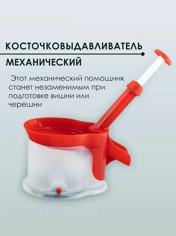 Кухонные принадлежности/Измельчитель оливок/средство для удаления косточек из вишни/1 шт