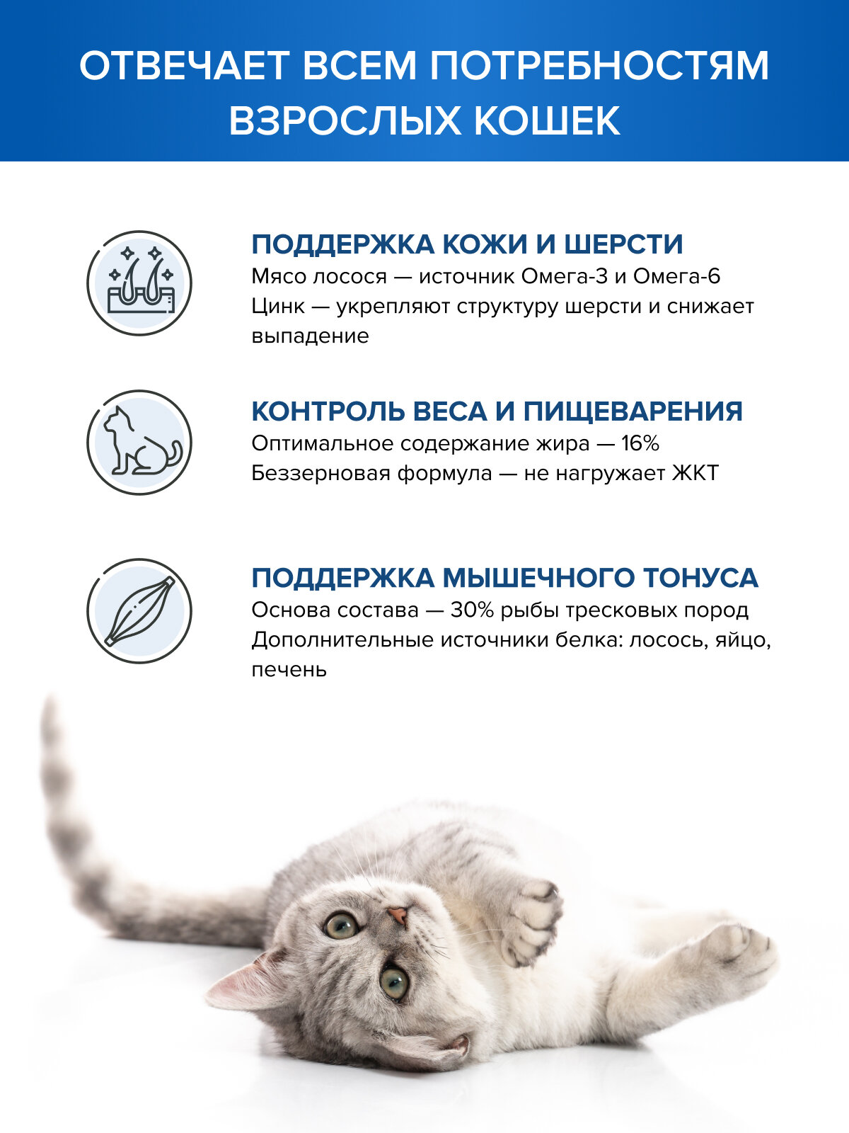 Корм для кошек сухой лосось и белая рыба, подходит для стерилизованных, беззерновой, 3 кг — фото 1