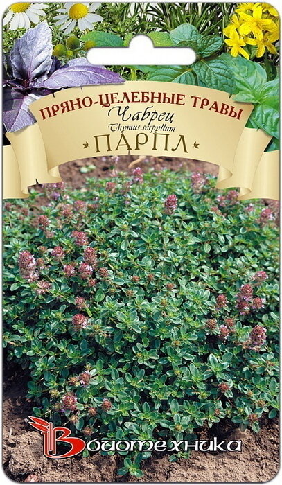 Тимьян (чабрец) Парпл /Биотехника