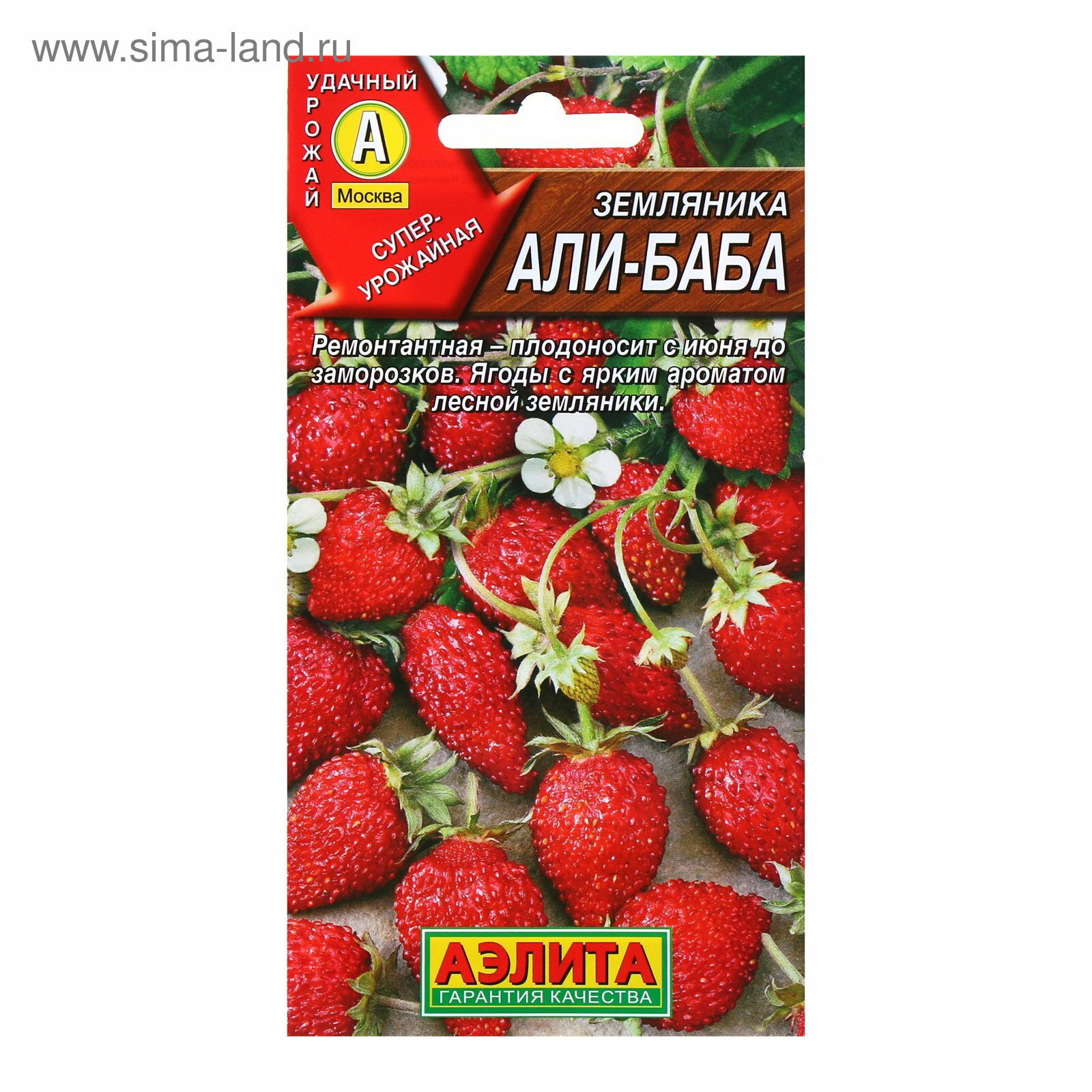 Семена Земляника 