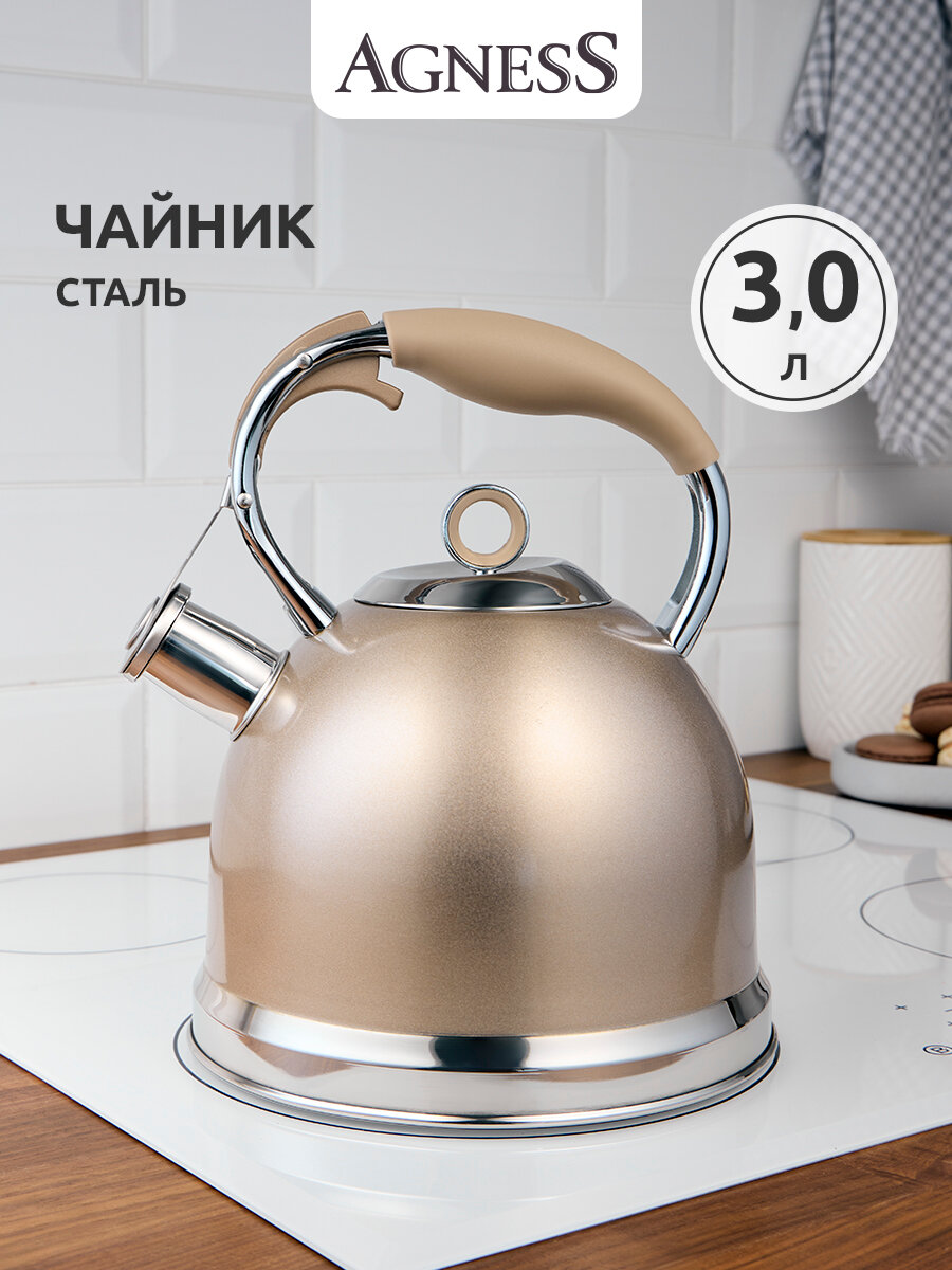 Чайник для газовой плиты Agness 
