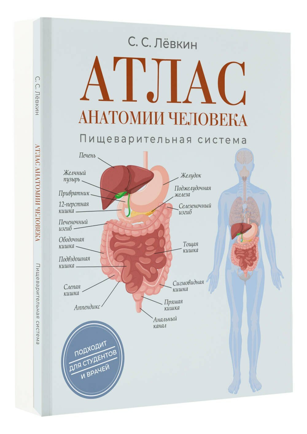 Атлас анатомии человека. Пищеварительная система — фото 1