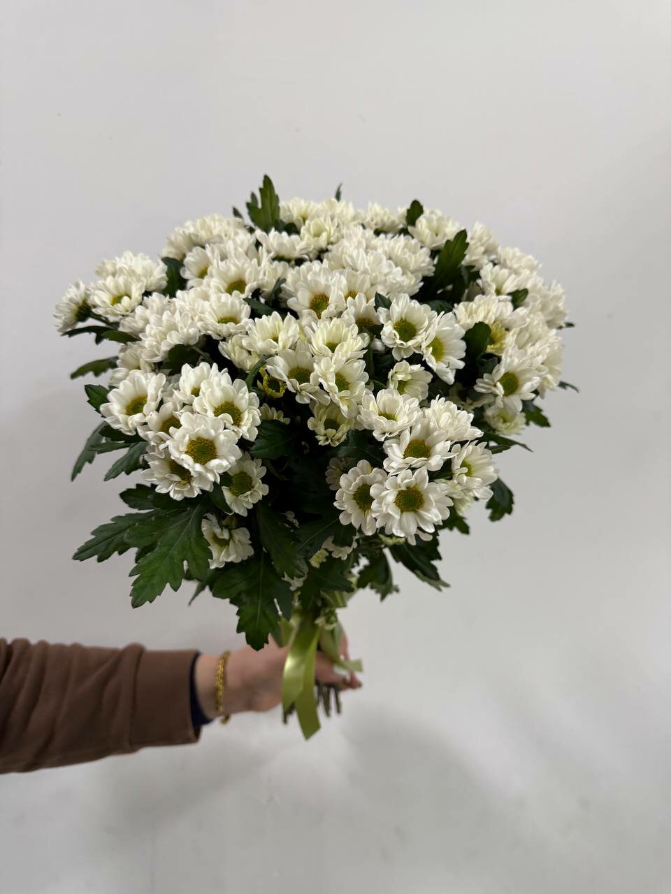 Букет из 11 Белых Хризантем Сантини «Ромашки» в подарочной ленте
