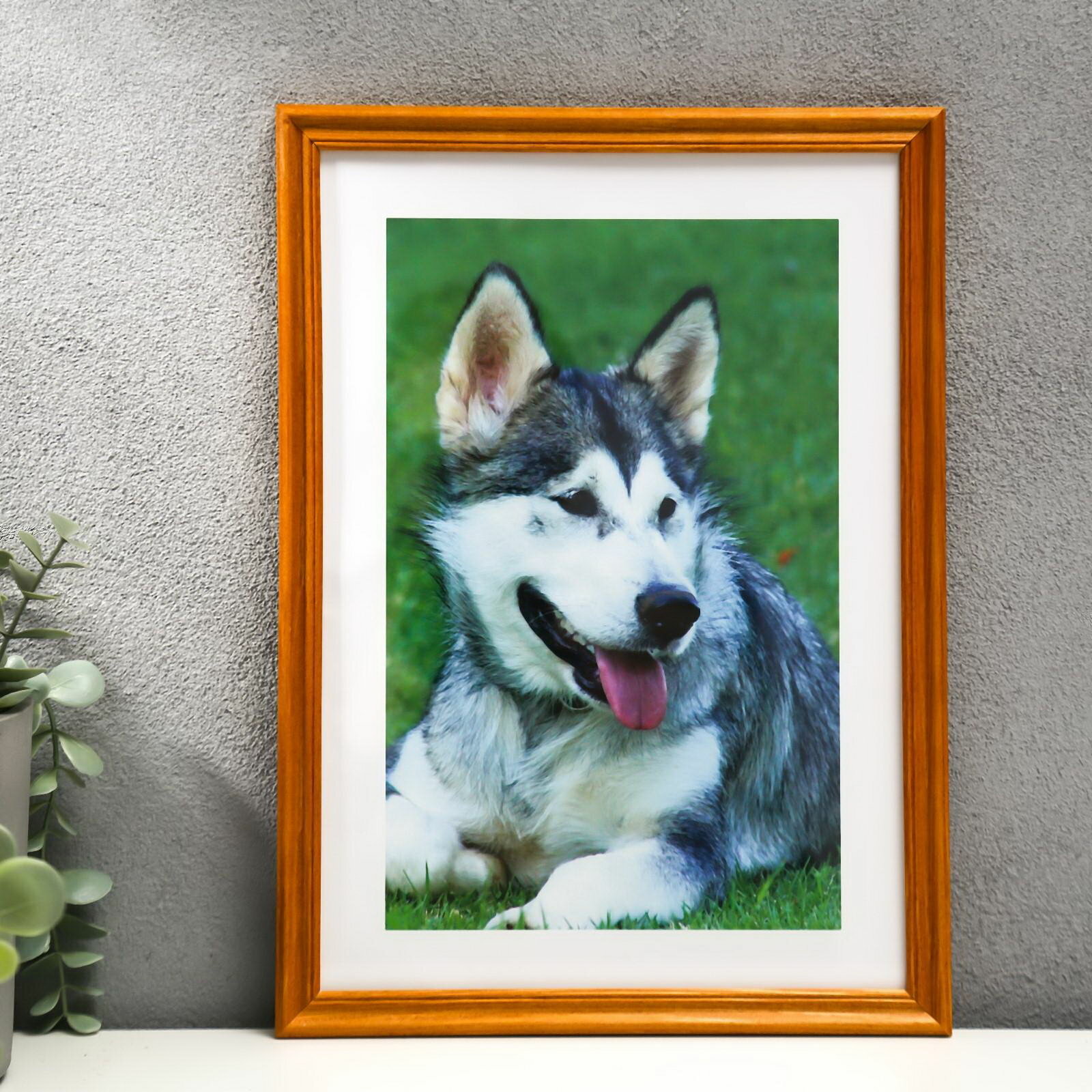 Фоторамка 21х30 тематика праздника: универсальная тематика вид крепежа: подвес