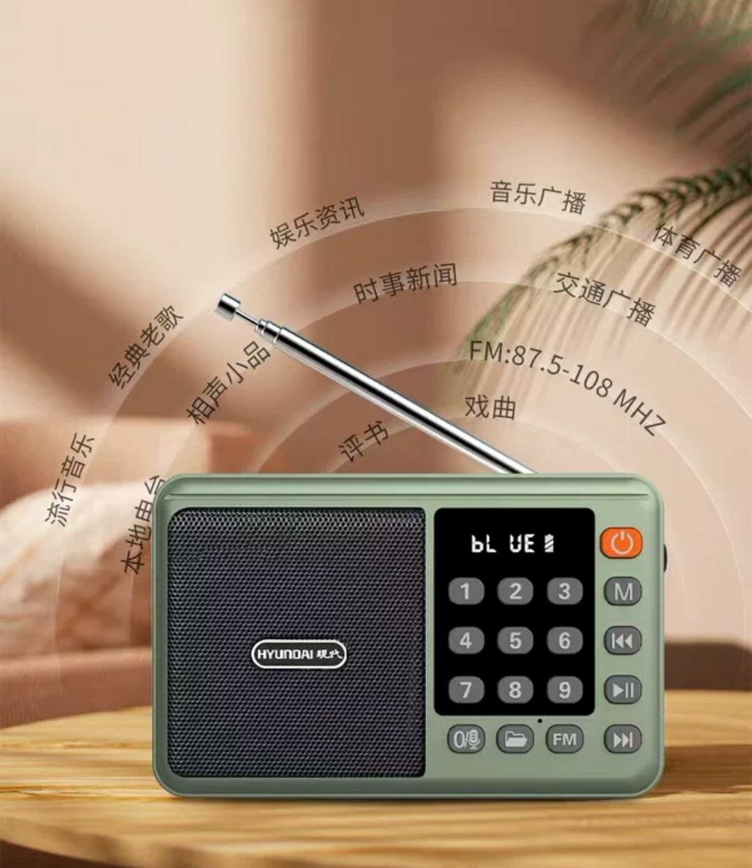 Радиоприемник Hyundai аккумуляторный FM диапазон USB/Bluetooth/Micro sd