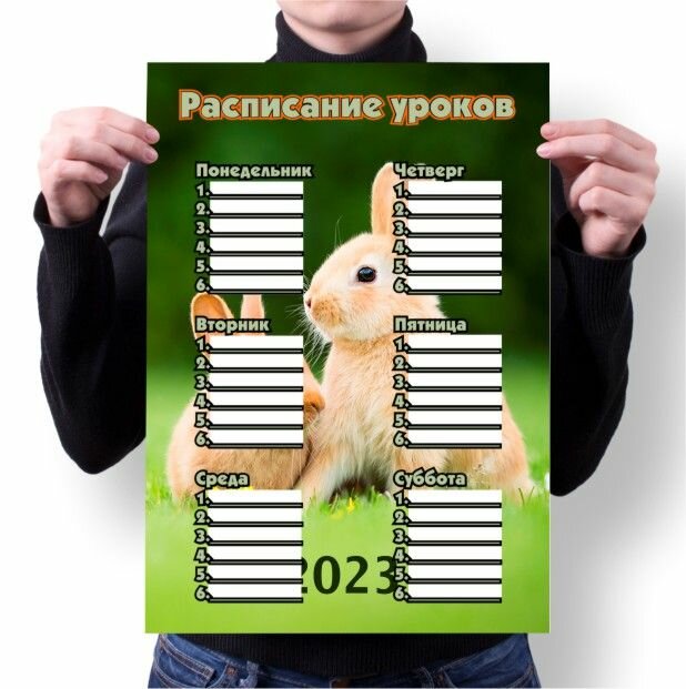 Расписание уроков год Кролика №15, A2