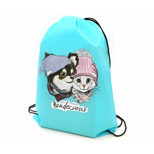 323481 Мешок для обуви CQ-22569 Собачка и котик голубой полиэстер 3545 см чёрные завязки 2101 379₽