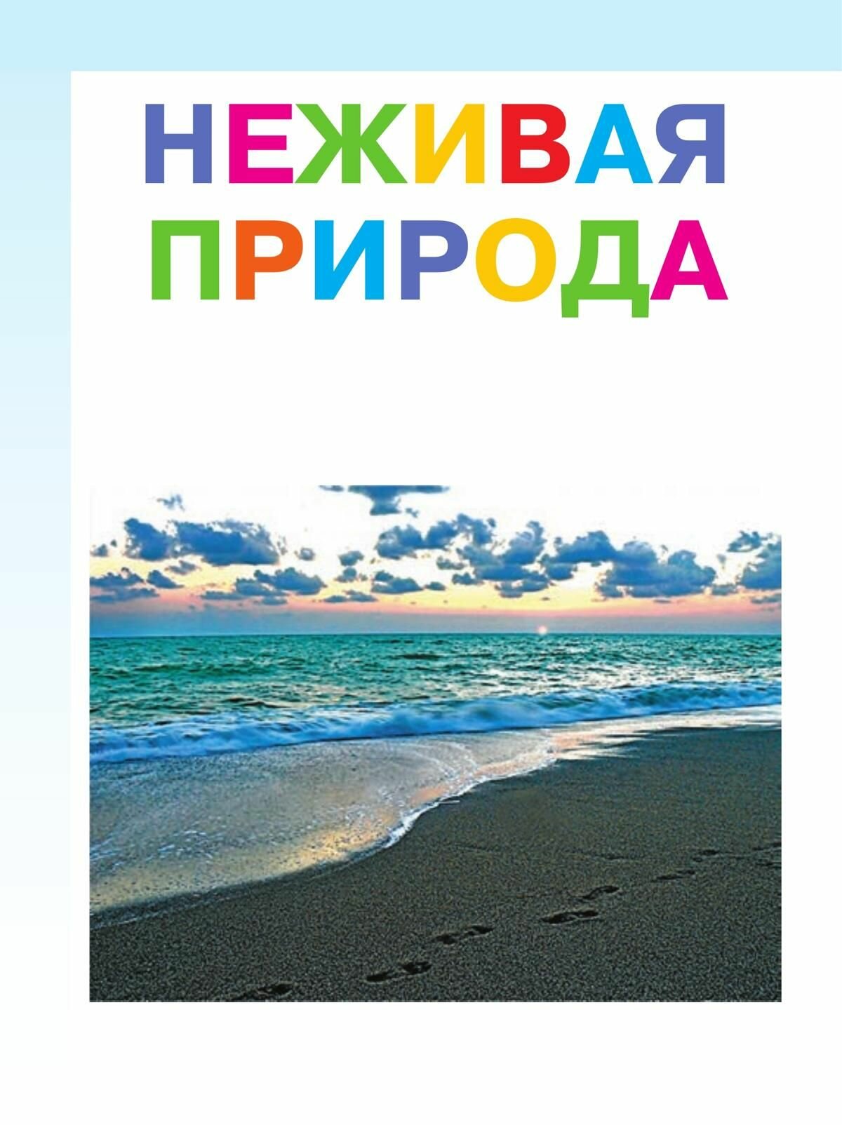 Мир природы и человека. 1 класс. Учебник для детей с интеллектуальными нарушениями. В двух частях. Часть 1 - фото №7