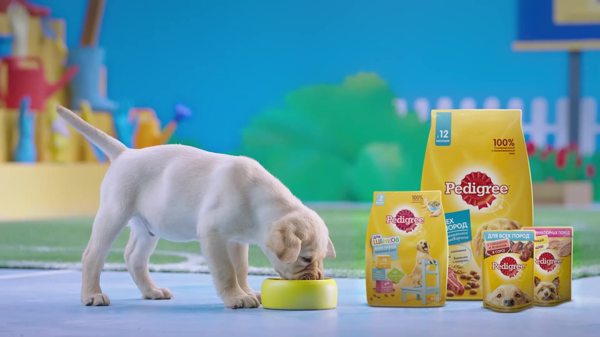Сухой корм PEDIGREE® для собак, полнорационный, с говядиной, 13 кг — фото 1