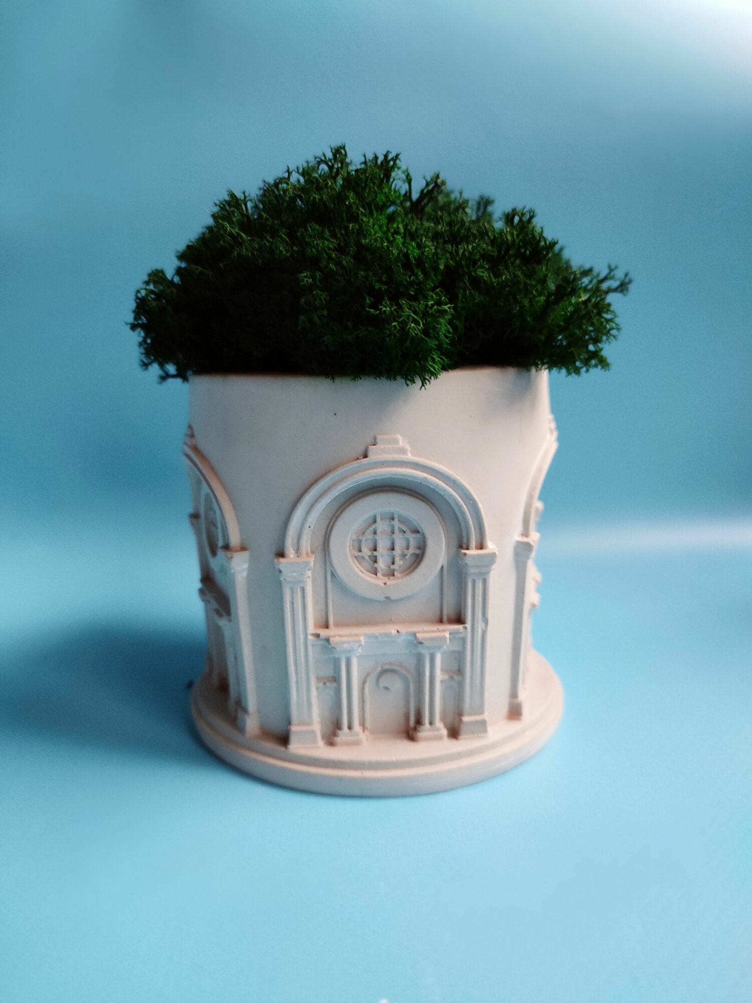 Кашпо со стабилизированным мхом "Архитектура"