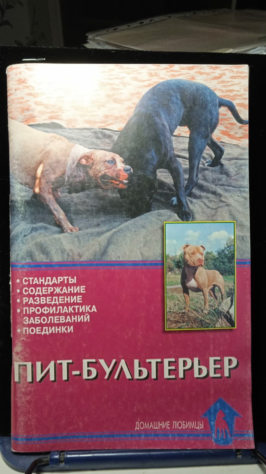 Пит-бультерьер. Стандарты. Содержание. Разведение. Профилактика заболеваний. Поединки - фото №1