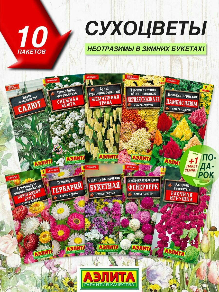 Семена цветов Аэлита Сухоцветы 10 сортов / Семена Сухоцветов